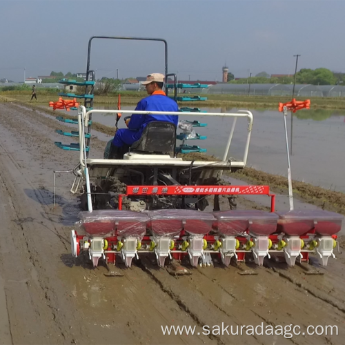 Rice hole direct seeding machine operation